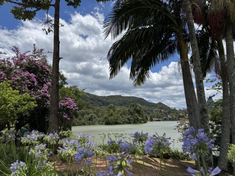 Descubra Teresópolis: Um Refúgio Serrano com Gastronomia e Natureza Imagem do artigo