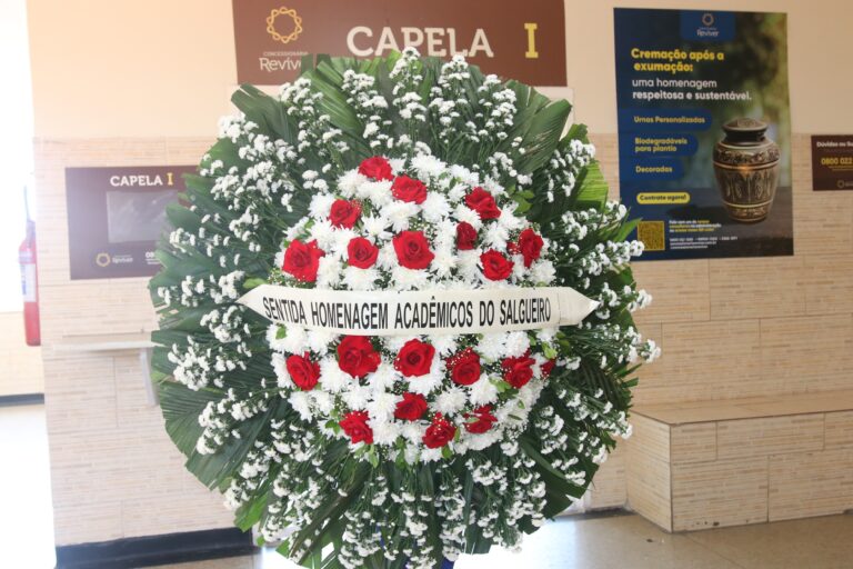 Despedida de Haroldo Costa: Homenagens e Memórias de um Artista Icônico Imagem do artigo