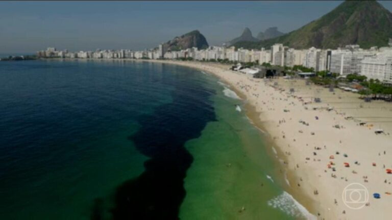 Deslumbrante Surpresa em Copacabana: Cardume de Manjubinhas Encanta Banhistas