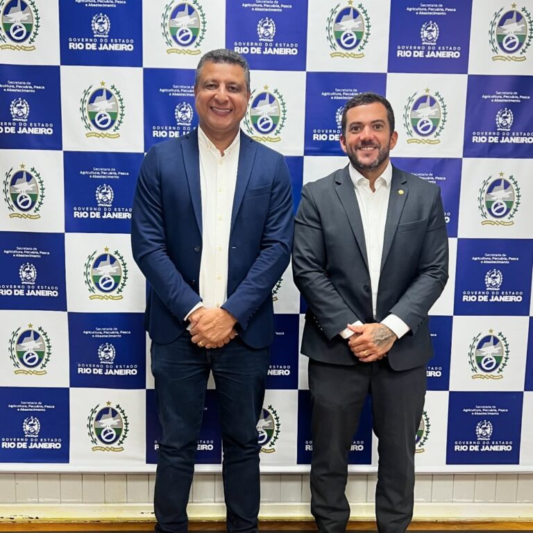 Suplente de Ramagem Planeja Exoneração para Assumir Mandato na Câmara dos Deputados Imagem do artigo