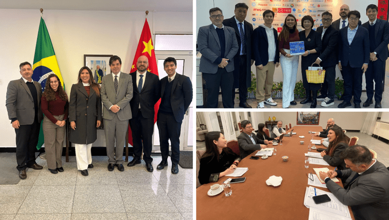 Brasil Avança em Visto Eletrônico para Turistas Chineses e Espera Crescimento no Setor Turístico Imagem do artigo