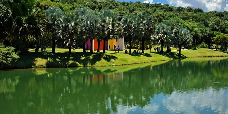 Museu Inhotim Registra Recorde de Visitantes em 2025