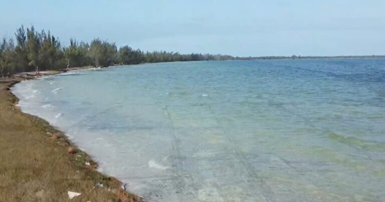 Caravana do Turismo: Exploração Cultural nas Cidades da Região dos Lagos do Rio de Janeiro Imagem do artigo