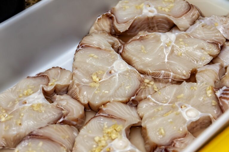 Carne de tubarão é proibida na merenda escolar do Rio de Janeiro; entenda a decisão