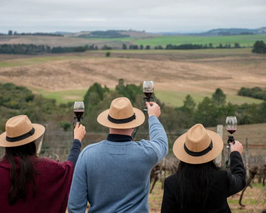 Crescimento do Enoturismo no Rio Grande do Sul: Quase 60% em 2025 Crescimento do Enoturismo no Rio Grande do Sul: Quase 60% em 2025