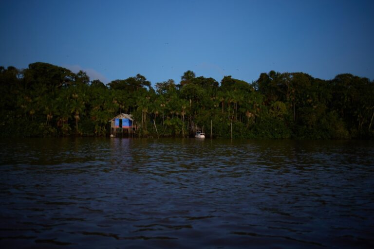 Exposições Imperdíveis no Rio: Amazônia de Bob Wolfenson e Últimos Dias de Flávio Cerqueira