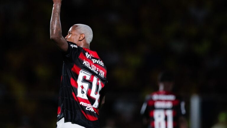 Flamengo x Portuguesa-RJ: Horário e Onde Assistir ao Vivo no Cariocão 2026