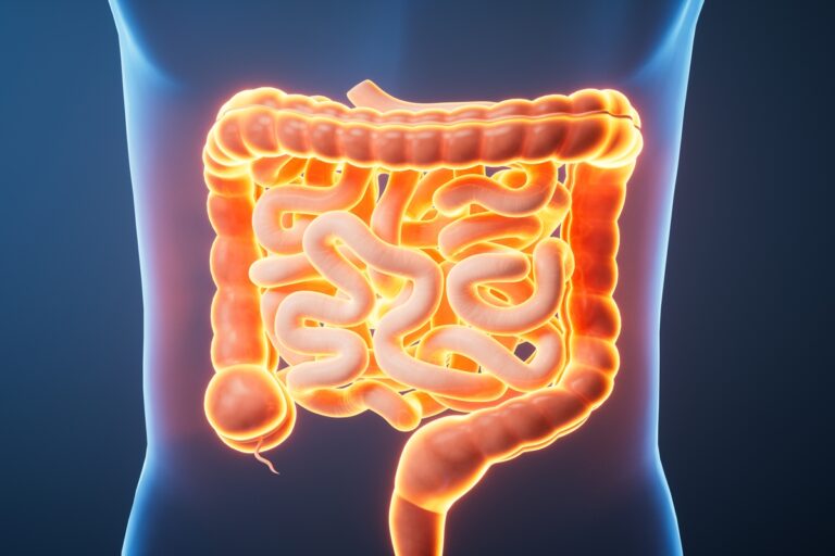 Os Perigos da Inflamação Intestinal: Como Isso Afeta Sua Saúde