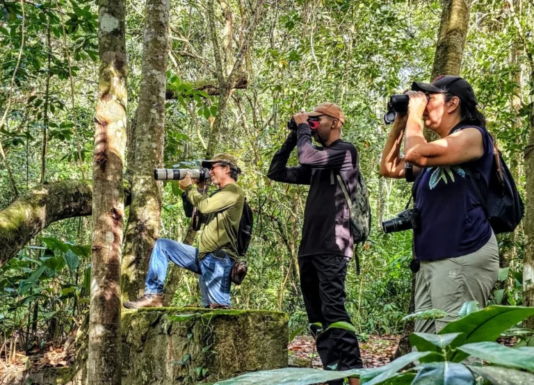 Pernambuco Lança Edital para Impulsionar o Turismo de Observação de Aves