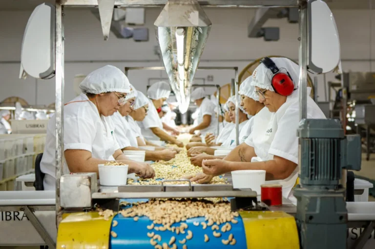 Queda da Produção Industrial no Ceará: Terceira Maior do Brasil em Novembro