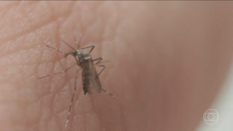 Santos Intensifica Ações Contra Dengue com Novo Mapeamento de Focos e Dados Promissores