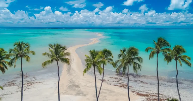 7 Praias Imperdíveis para Conhecer em Maragogi: Descubra o Paraíso