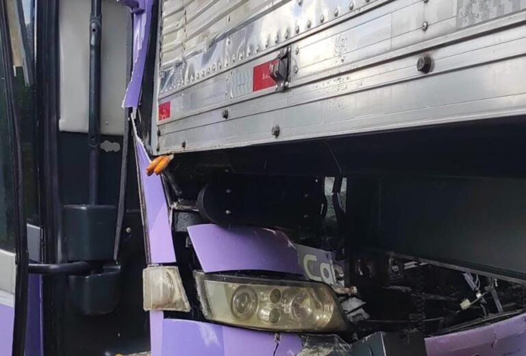 Acidente Envolvendo Ônibus de Turismo e Caminhões na BR-101: Assista ao Vídeo