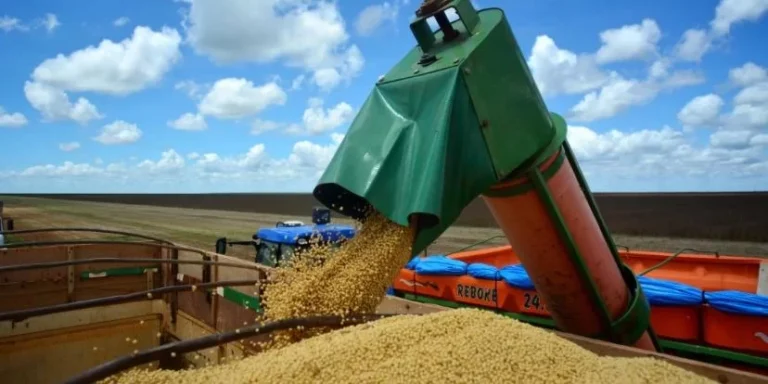 Crescimento Econômico do Rio Grande do Sul Superará Média Nacional em 2026