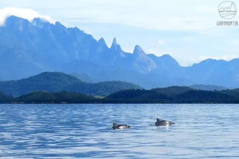 Rio de Janeiro Registra Crescimento de 17% no Turismo Internacional em 2026 Rio de Janeiro Registra Crescimento de 17% no Turismo Internacional em 2026