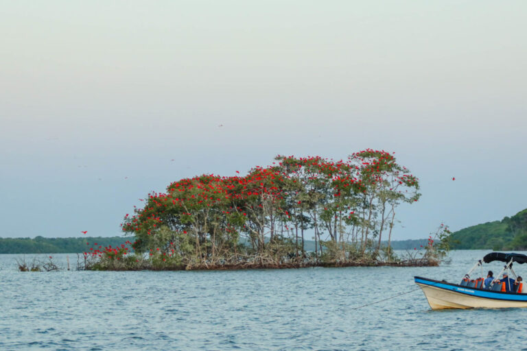 Turismo no Piauí: Crescimento de 83% em Geração de Empregos Até 2025