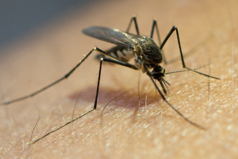 Unidades de Saúde Devem Informar Sobre Pensão Especial para Crianças com Síndrome do Zika Vírus