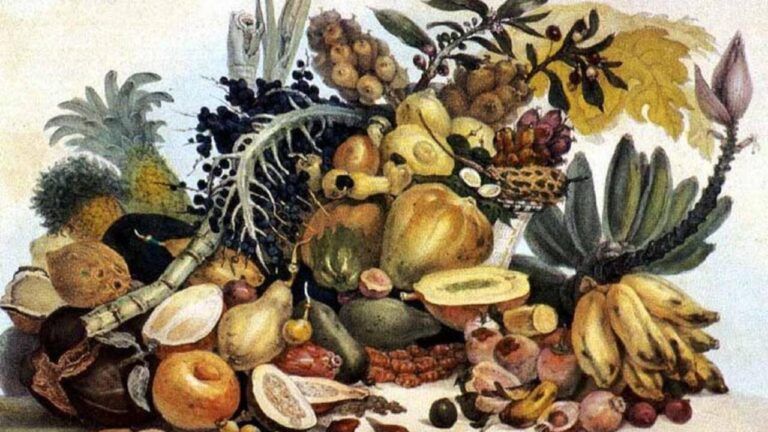 A Influência da Gastronomia Brasileira na Cozinha Portuguesa e Seus Laços Culturais