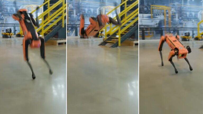 Cães Robôs: A Nova Fronteira da Segurança nos Centros de Dados