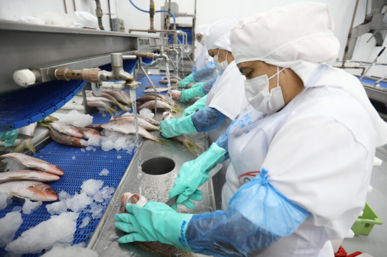 Ceará Registra Queda de 7,5% na Indústria em Janeiro, Atingindo 3º Pior Resultado do País