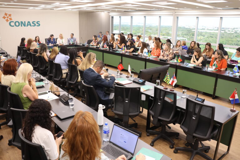 Conass e Profissionais de Saúde Debatem Segurança do Paciente em Brasília