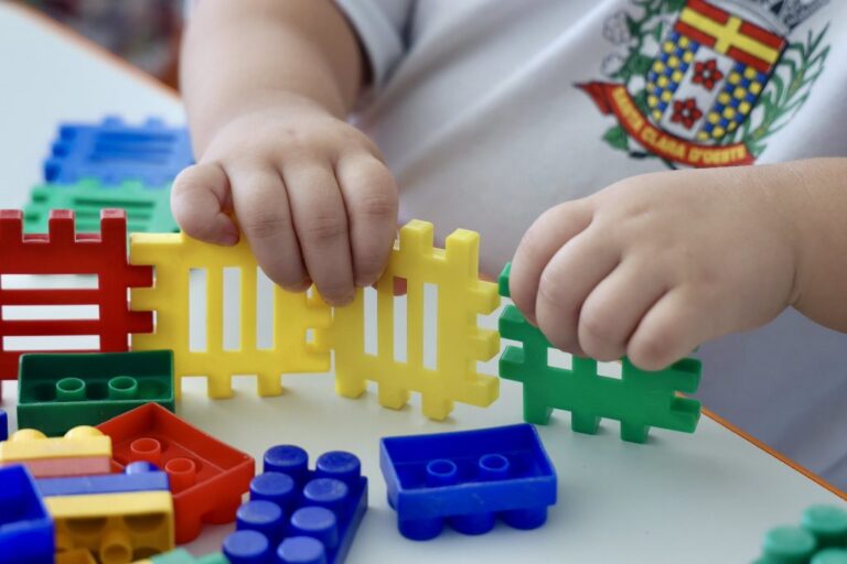 Entrega de Creche Escola em Santa Clara d’Oeste: Um Novo Marco na Educação de SP
