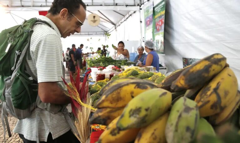 Escolhendo Frutas e Verduras: Dicas Práticas para Evitar Desperdícios