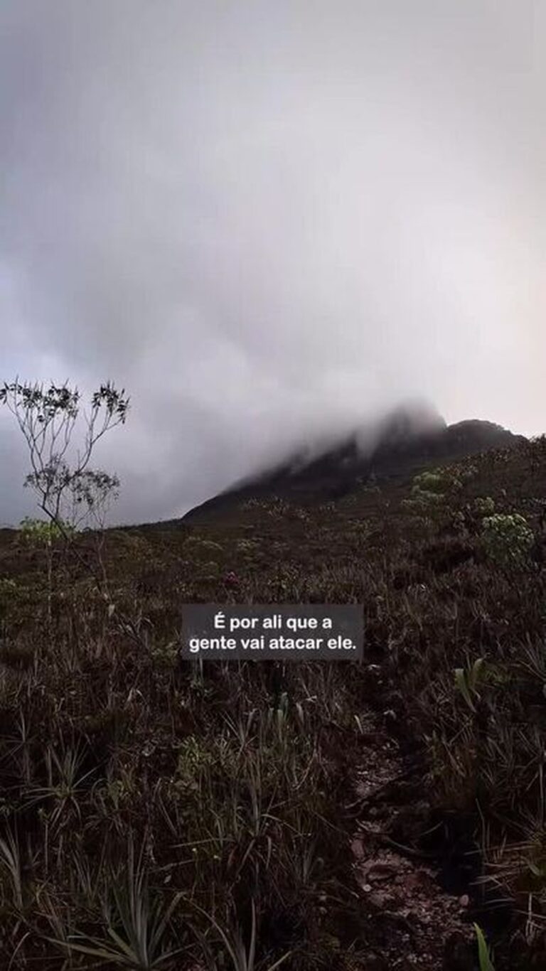 Expedição ao Pico da Neblina: Melhorias no Acesso e Potencial Turístico do Amazonas