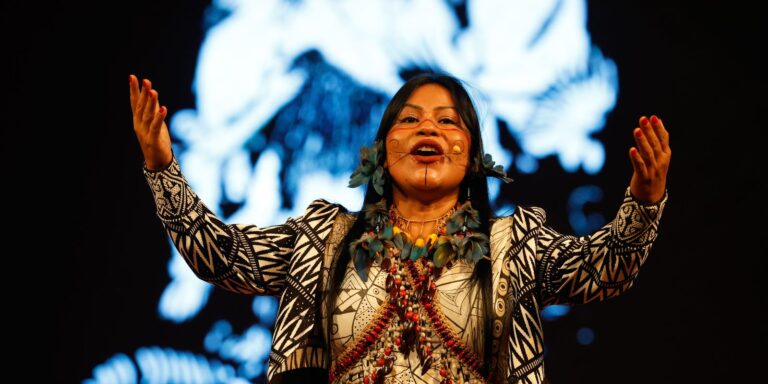 Festival dos Povos da Floresta: Uma Celebração da Cultura Amazônica