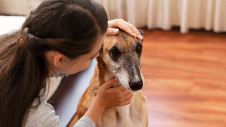 Identificando e Prevenindo a Ansiedade em Pets: Sintomas e Cuidados Essenciais