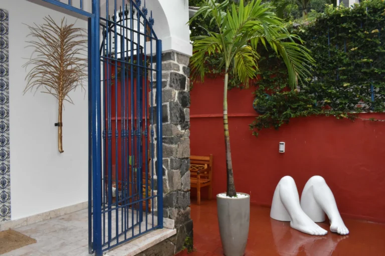 Inauguração da Casa70 Galeria: Uma Nova Era na Gávea com a Exposição ‘Eclosão’ Inauguração da Casa70 Galeria: Uma Nova Era na Gávea com a Exposição 'Eclosão'