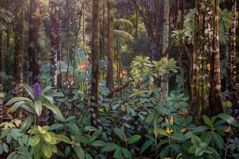 Últimos Dias de Exposições no Rio: Ailton Krenak e Outras Experiências Inesquecíveis