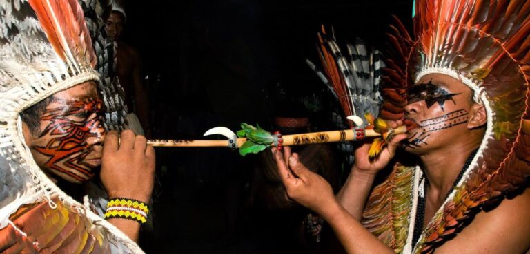 Integração de Saberes Indígenas Revoluciona Cuidados em Saúde no Brasil