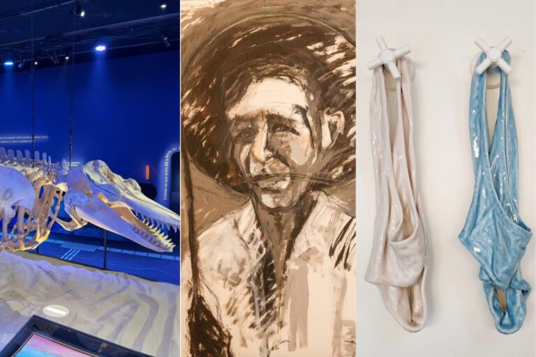 Rio de Janeiro: Exposições Culturais Imperdíveis e Museu do Amanhã com Entrada Gratuita