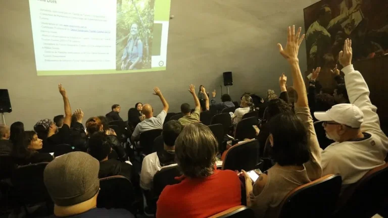 Temporada de Observação de Baleias em Niterói: Turismo Sustentável em Alta em 2024