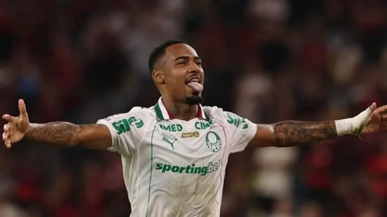 Onde Assistir Palmeiras x Chapecoense pelo Brasileirão 2024: Guia Completo para o Jogo