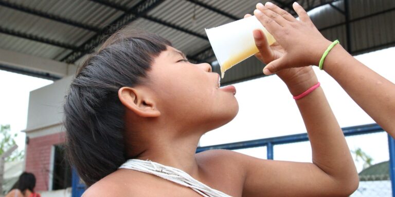 Crescimento do Consumo de Alimentos Ultraprocessados entre Comunidades Tradicionais no Brasil