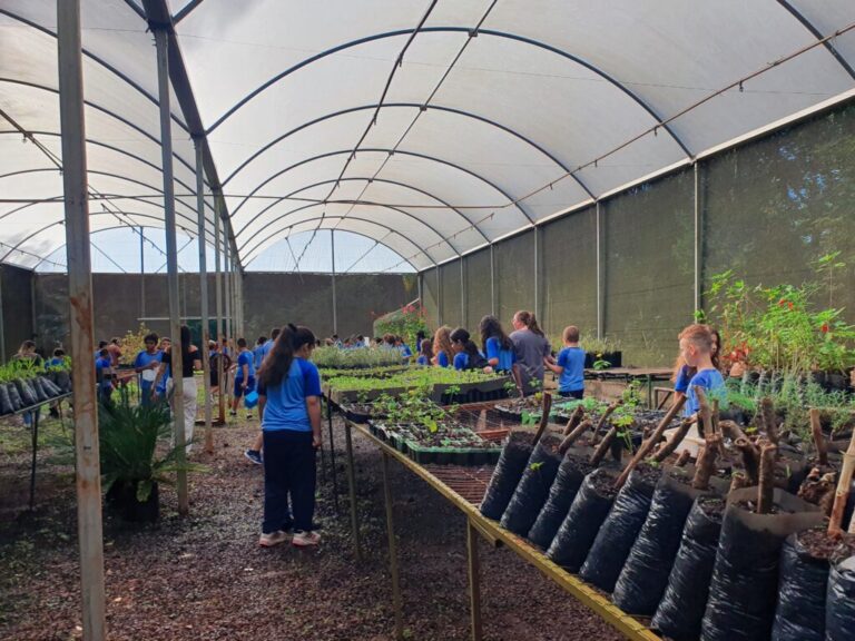 Oficina de Educação Ambiental reúne mais de 50 alunos na rede municipal