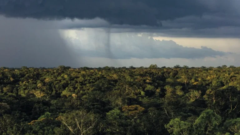 Mudanças Climáticas e Desmatamento Ameaçam o Regime de Chuvas na Amazônia até 2050 Mudanças Climáticas e Desmatamento Ameaçam o Regime de Chuvas na Amazônia até 2050