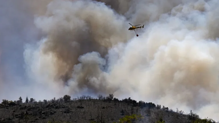 Incêndios na Europa queimam mais de 17 mil hectares em meio ao calor extremo Incêndios na Europa queimam mais de 17 mil hectares em meio ao calor extremo