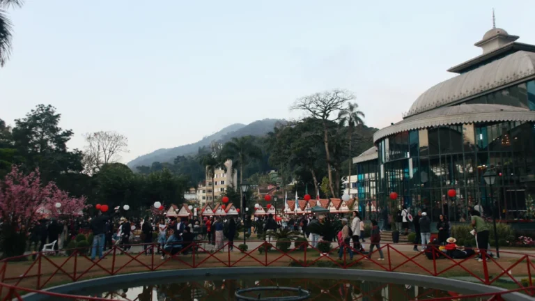 Bunka-Sai 17ª edição: celebração da cultura japonesa em Petrópolis com atrações para todas as idades Bunka-Sai 17ª edição: celebração da cultura japonesa em Petrópolis com atrações para todas as idades