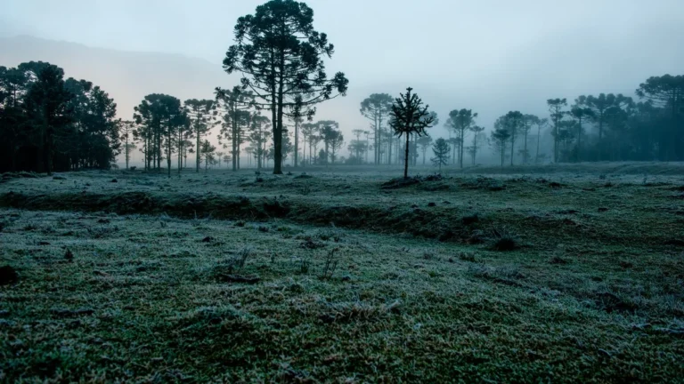 Clima em Julho 2026: Frio Intenso e Chuva Acima da Média Impactam o Brasil Clima em Julho 2026: Frio Intenso e Chuva Acima da Média Impactam o Brasil