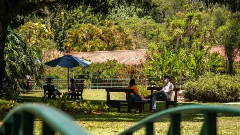 Revitalis amplia convênios em Petrópolis e facilita acesso à saúde mental